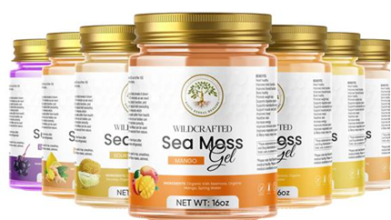 Sea Moss & Hydration