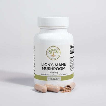 Lion's Mane Mushroom