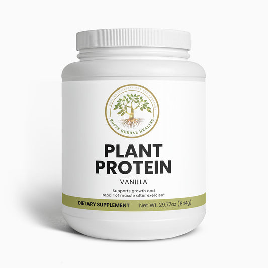 Plant Protein (Vanilla)