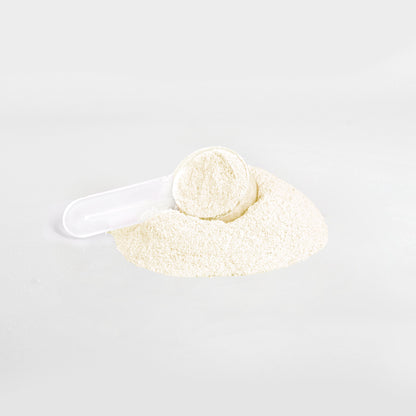 Hydration Powder (Lemonade)