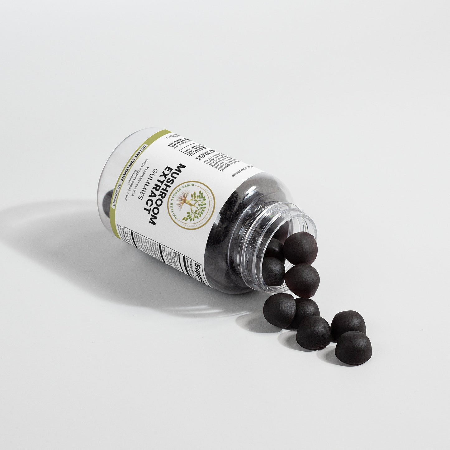 Mushroom Extract