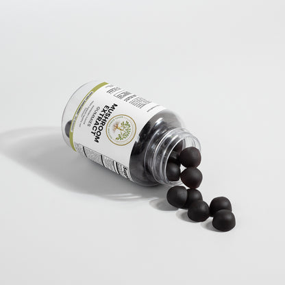 Mushroom Extract