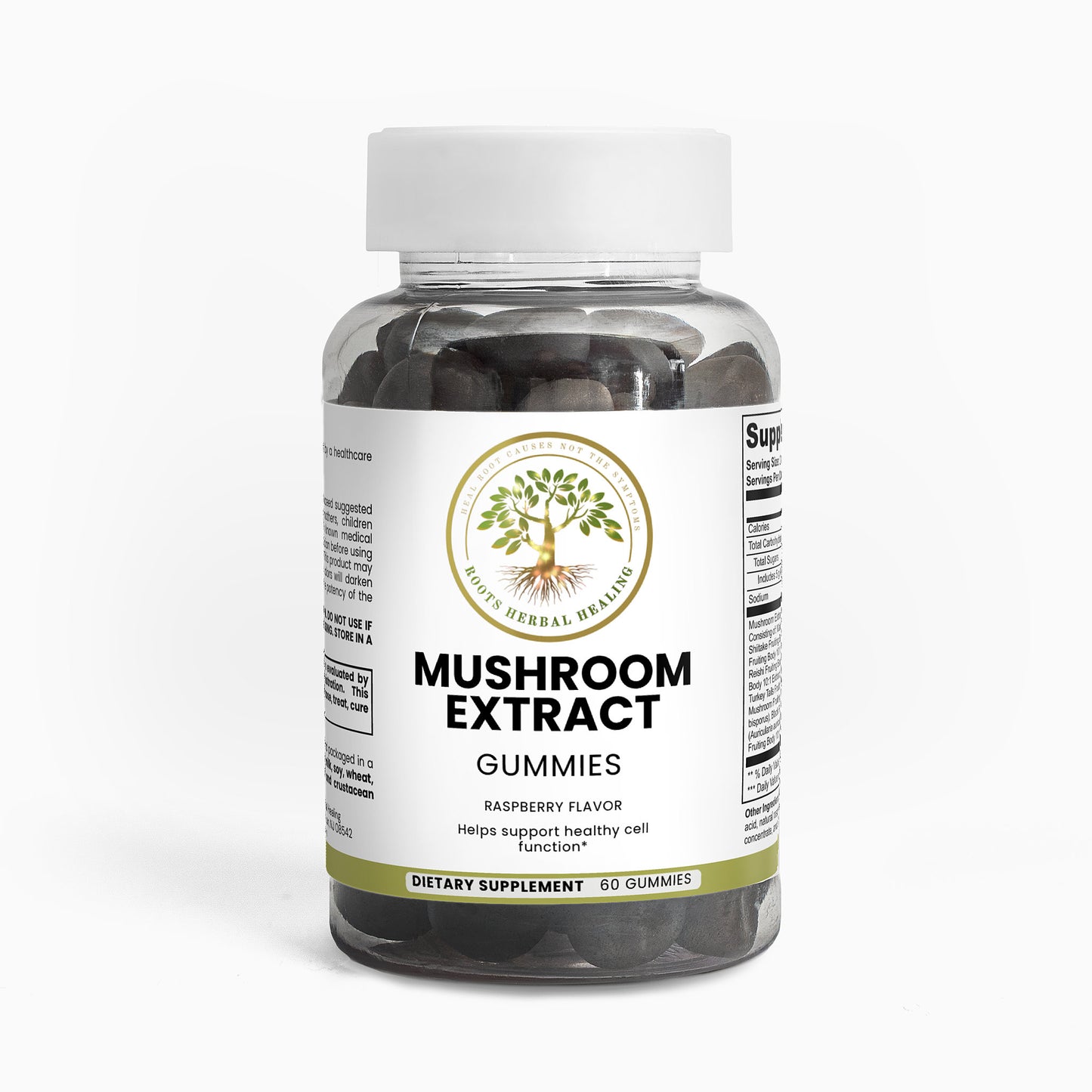 Mushroom Extract