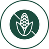 Corn Free