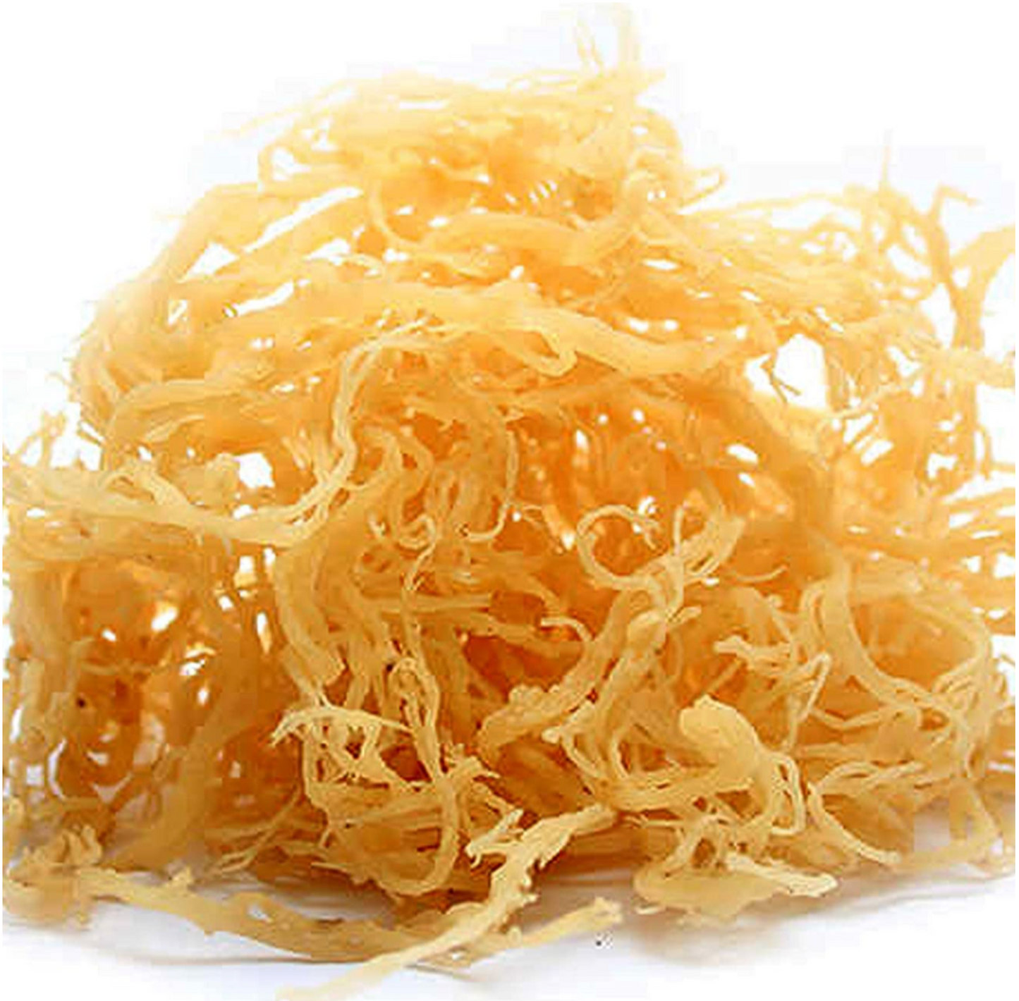 Raw Irish Sea Moss